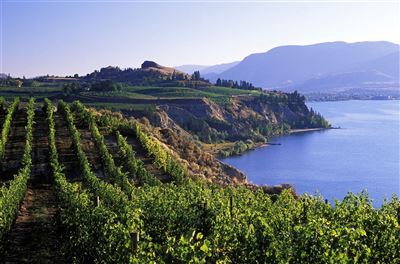 Weinanbau im Okanagan Valley